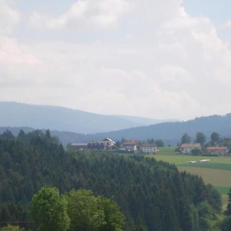 Ferienwohnung Rachel Mit Herrlichem Ausblick Rinchnach ภายนอก รูปภาพ