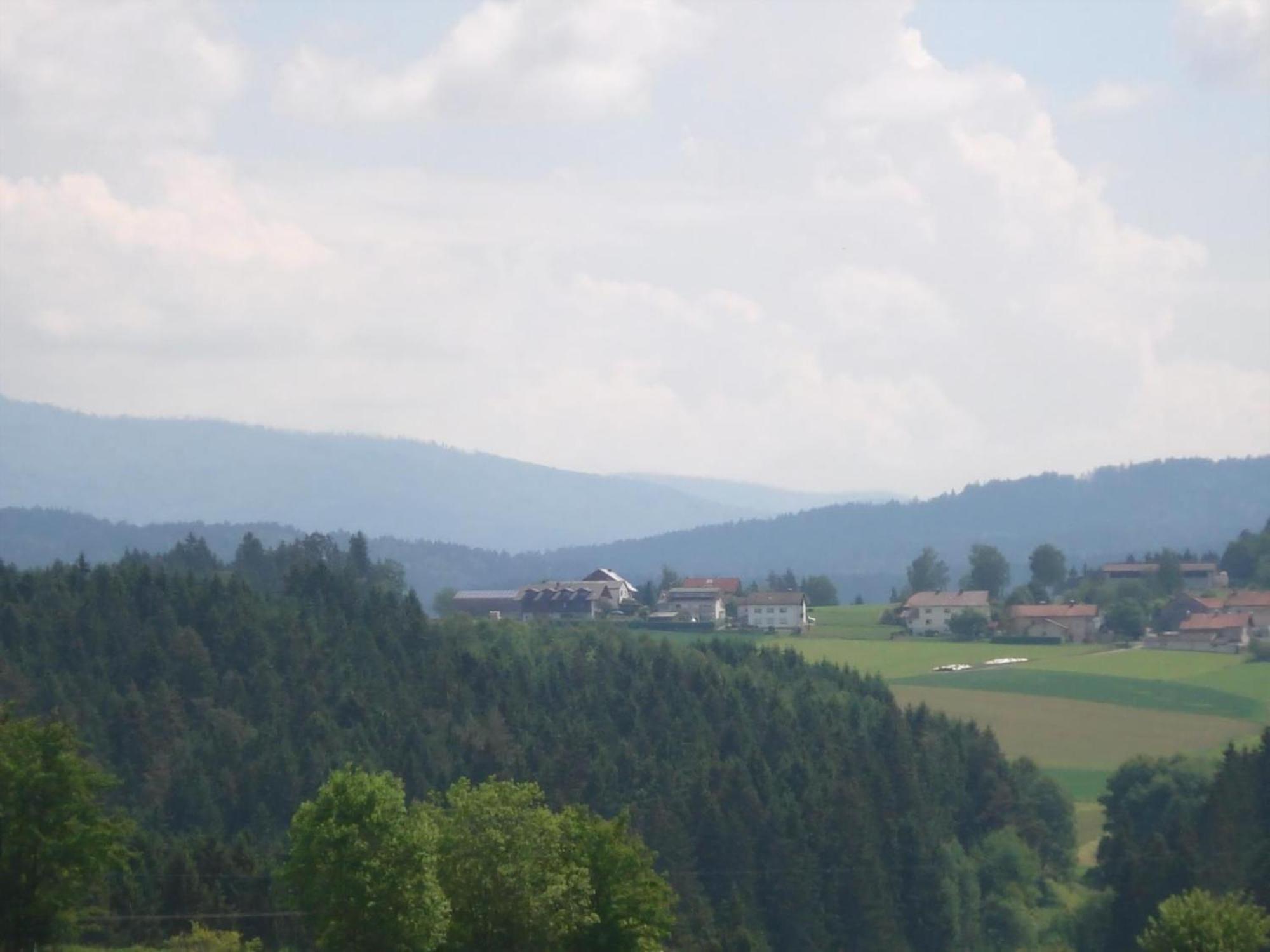 Ferienwohnung Rachel Mit Herrlichem Ausblick Rinchnach ภายนอก รูปภาพ